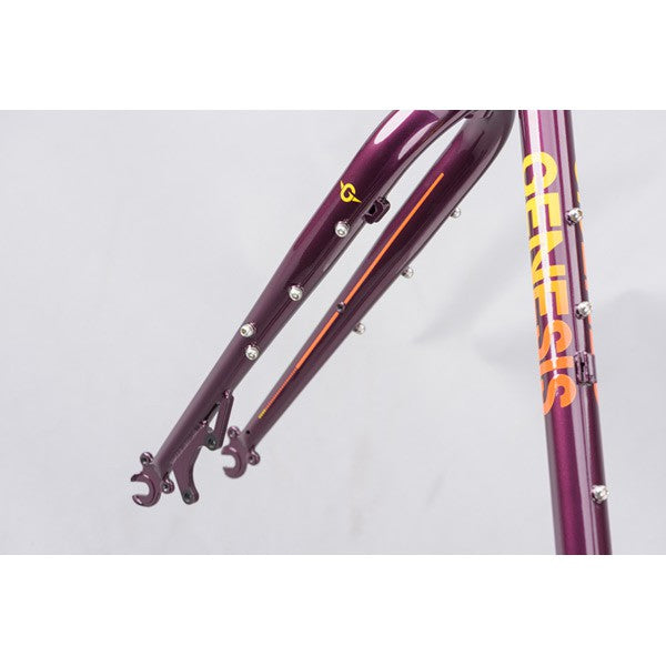 GENESIS Vagabond Frameset 2021 viola